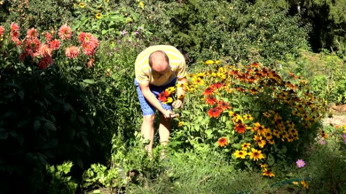 可爱的丈夫男朋友男人穿着短裤在阳光明媚的花园里摘红花。4K