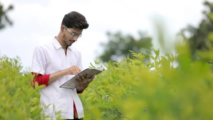 年轻的印度农学家正在田野里收集一些资料
