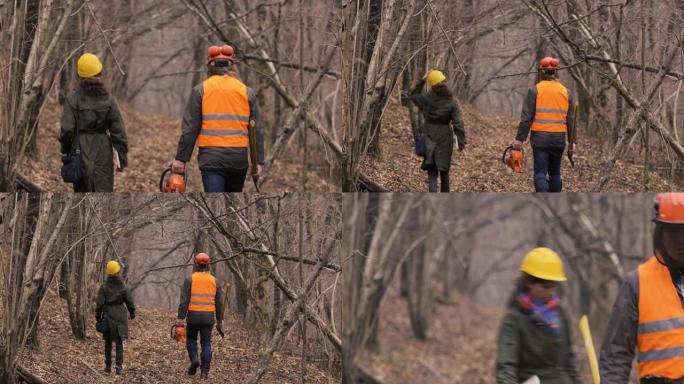森林检查员和伐木工人在森林中共同工作
