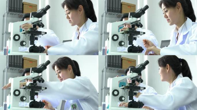 亚洲药剂师正在试验化学物质的化合物和吸收液体的试管。药学、科学、测试开发和实验室行业的概念。