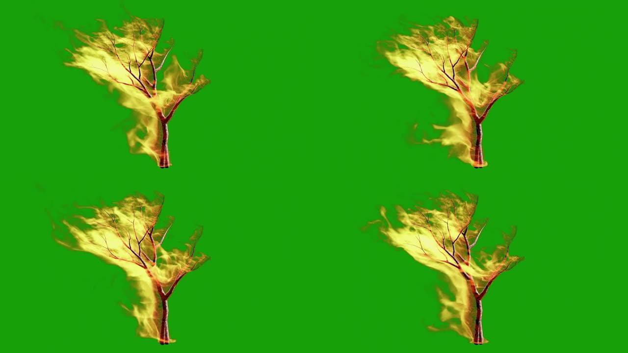 绿屏燃烧的树