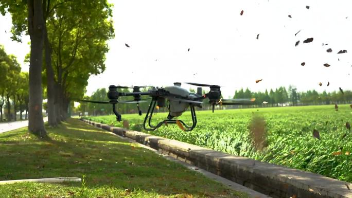 实拍田梗上农业无人机起飞瞬间视频素材
