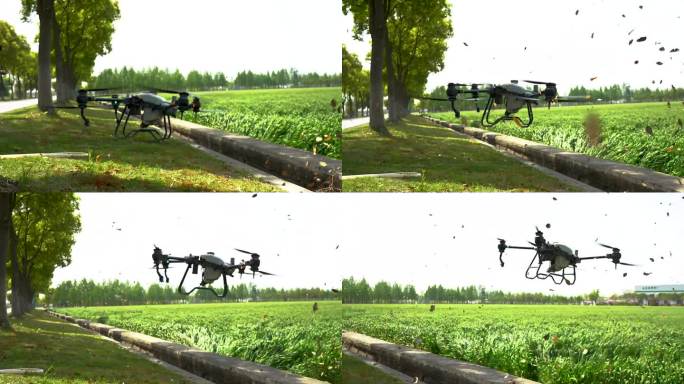 实拍田梗上农业无人机起飞瞬间视频素材