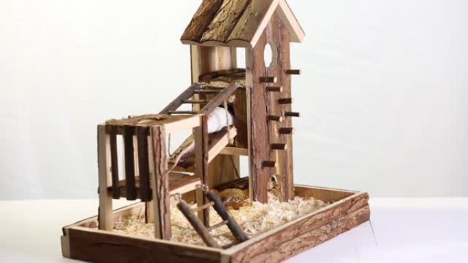 白色背景上的啮齿动物用天然木材制成的游乐场。仓鼠、沙鼠、老鼠的天然生活屋