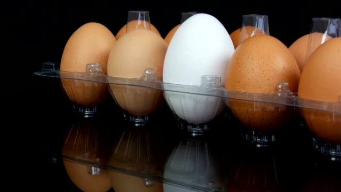 透明塑料托盘中的大棕色和一个白色鸡蛋