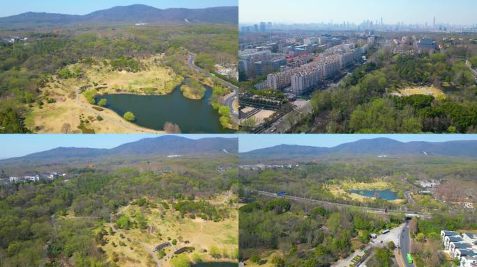 南京市玄武区钟山风景名胜区城市风景航拍