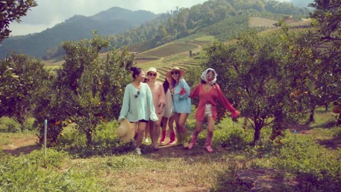 年轻美丽迷人的亚洲女性穿着休闲七彩连衣裙手持收获篮漫步快乐橙色花园农场自然概念