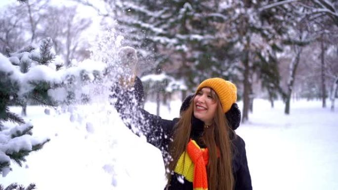 女人从冬松树枝上摇雪