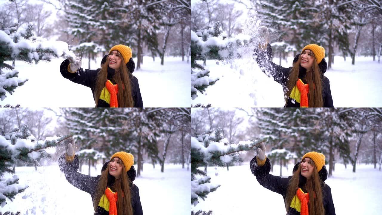 女人从冬松树枝上摇雪