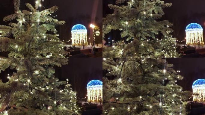 装饰在灯光下的圣诞树和壁龛
