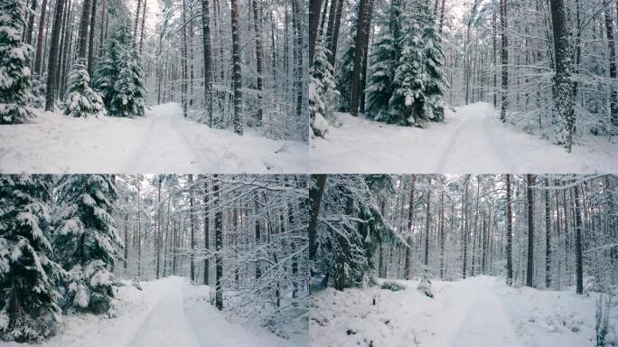 多莉白天在霜冻的天气里，在树林之间的森林里拍摄了冬天被雪覆盖的道路。