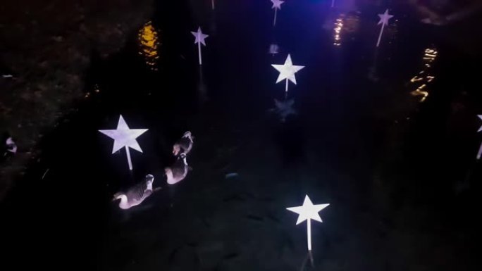 三只鹅子在一个装饰着星星的池塘里游泳。