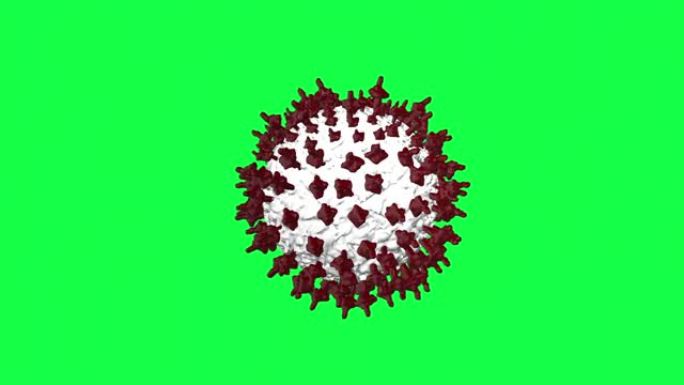 绿屏上3D病毒的逼真动画-色度键4k分辨率