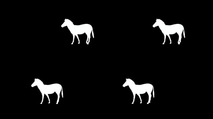 黑白斑马镂空动画