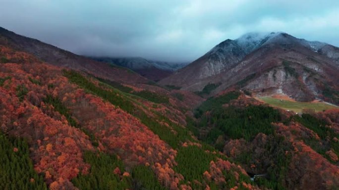 秋日彩色山鸟瞰图，山顶积雪