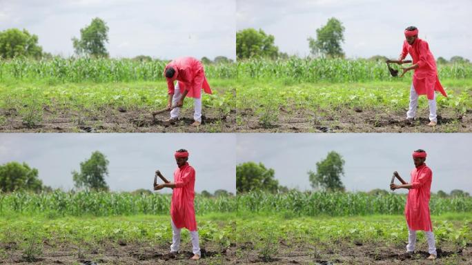 年轻的印度农民在他的田地里工作