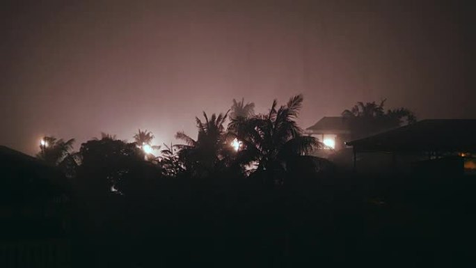 狂风吹拂着棕榈树的轮廓在暴雨中晚上
