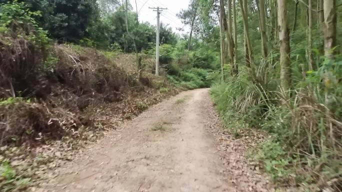 山路弯延 山路弯弯 山村小道 越野山路