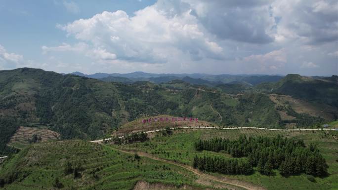 油茶产业扶贫示范基地