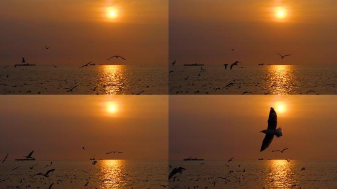 日落时分，海鸥鸟群在海岸上飞过海面，阳光直射