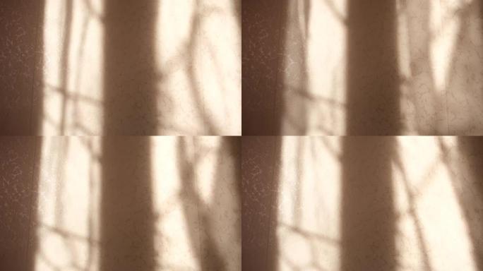 来自窗户的入射日落光沿着墙壁移动，窗帘的阴影。新鲜的微风吹过敞开的窗户