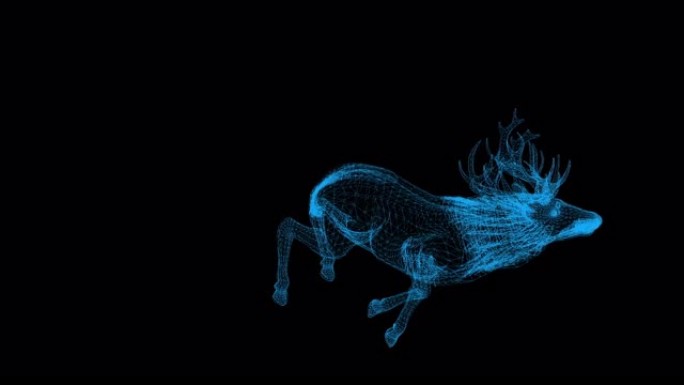 黑色背景下鹿的4k线框动画