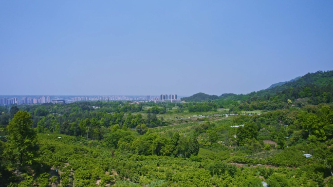 蒲江县全景