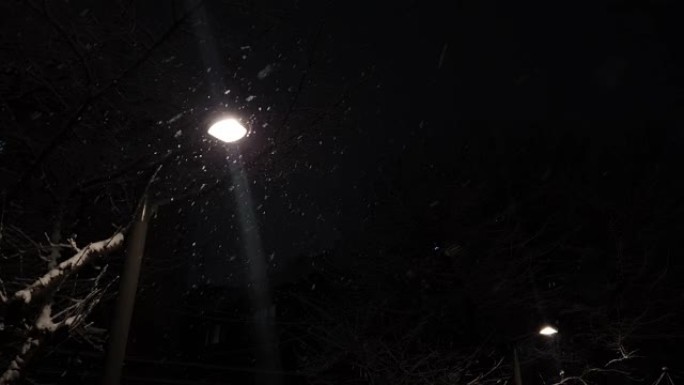 漆黑的傍晚雪中明亮的路灯