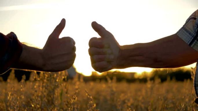 两个人的特写镜头在农田里对着日落竖起大拇指