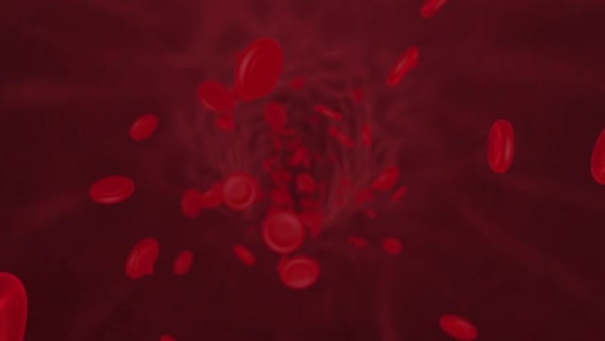 静脉中的红细胞。人血。红细胞在动脉，体内流动，人体医疗健康。科学医学的概念。4k 3d渲染动画