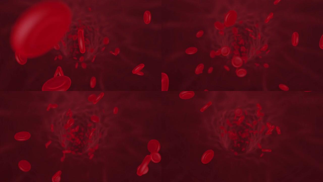 静脉中的红细胞。人血。红细胞在动脉，体内流动，人体医疗健康。科学医学的概念。4k 3d渲染动画