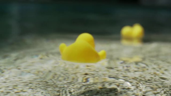 美丽的黄色塑料鸭漂浮在游泳池的蓝色水中的镜头-慢动作视频