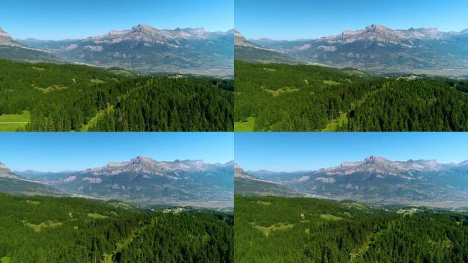 鸟瞰绿色土地，松树和阿尔卑斯山山脉底部的一条小路-法国。