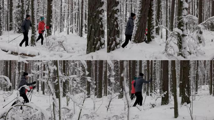 在深新鲜的雪中滑雪旅行-年轻夫妇在雪中的冬季森林中滑雪