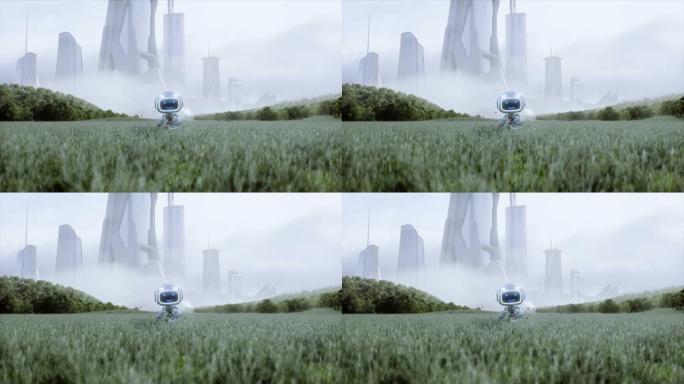 有趣的玩具机器人在未来城市的背景下的草地上。未来概念。逼真的4k动画。