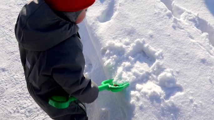 小孩子收集雪绿铲