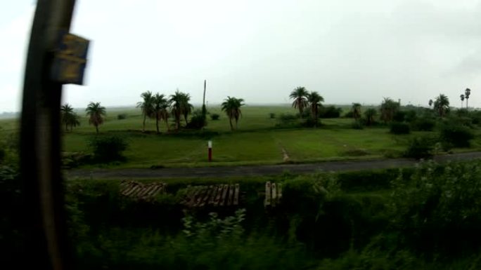 安得拉邦从移动的火车草地棕榈变电站雨季
