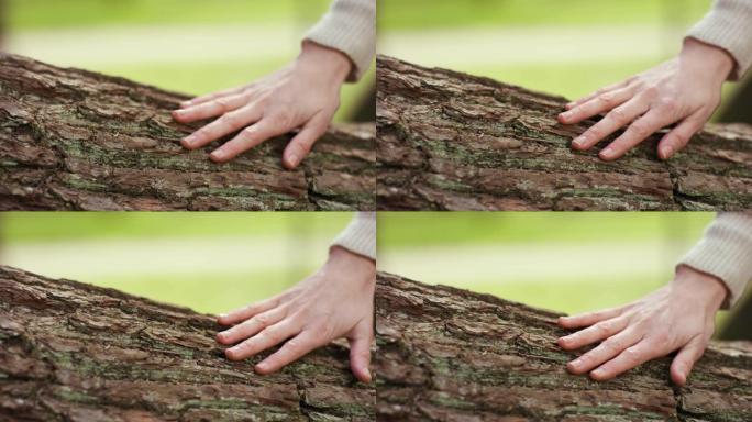 感觉树的结构的手的特写