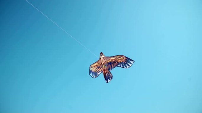 风筝节中蓝天中的美丽风筝