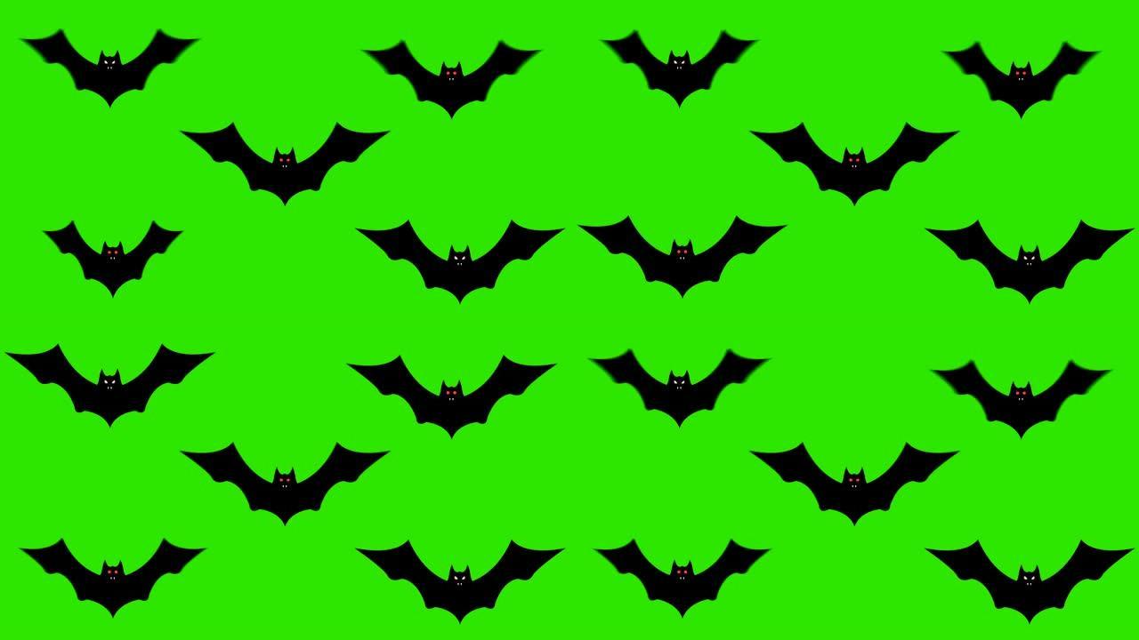 蝙蝠在绿色屏幕上挥舞着翅膀的集合