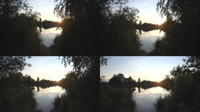 黎明时森林中的早晨湖。在森林和大自然中徒步旅行的概念。复制文本、背景的空间