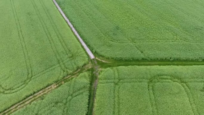 鸟瞰图、农业区和田地