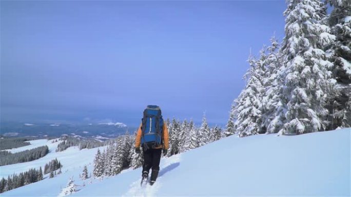 一位游客在山上的雪中漫步。