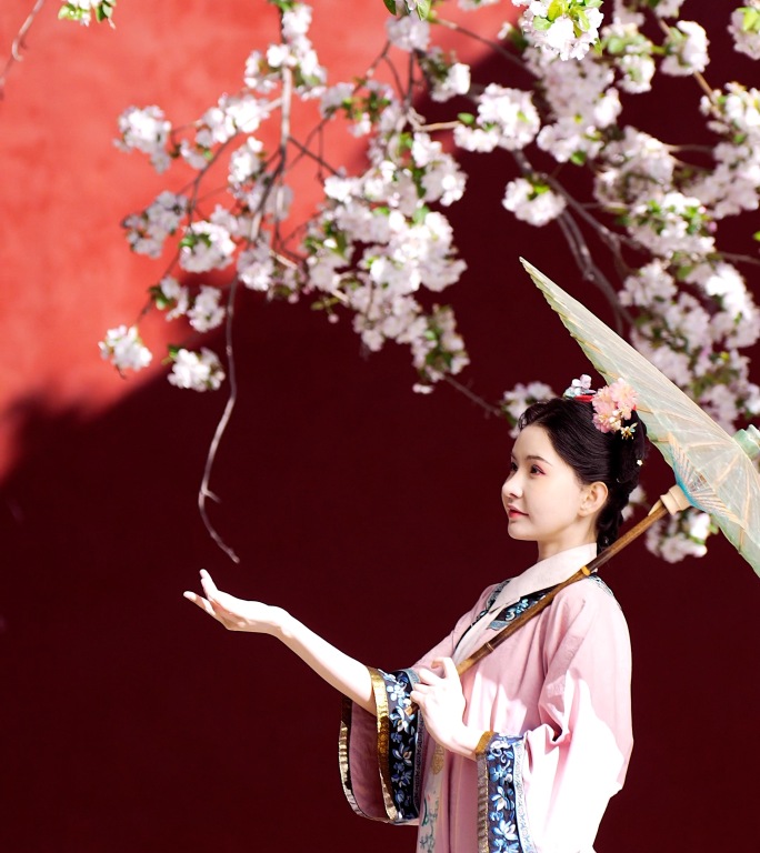 4K升格北京故宫内盛开的海棠花丁香花竖屏