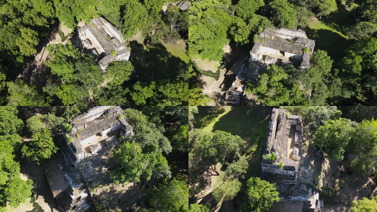 丛林中玛雅遗迹和金字塔的鸟瞰图