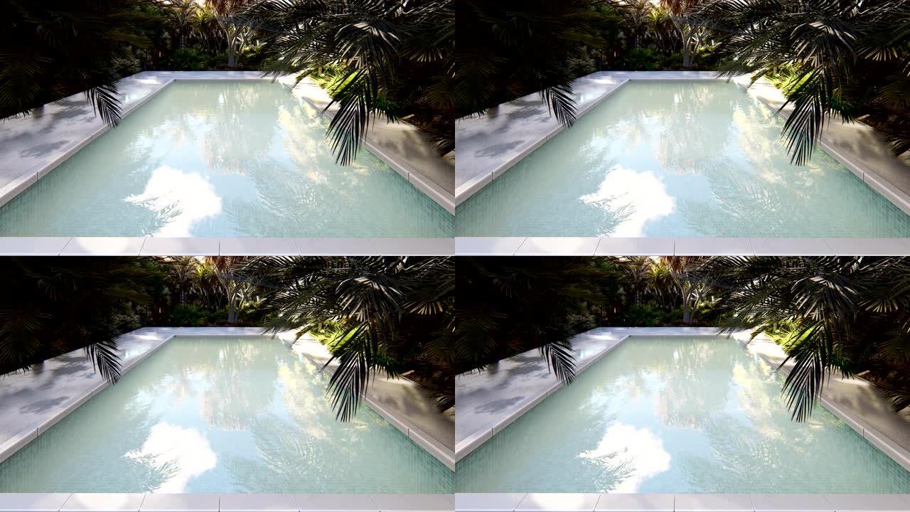 晴朗的晴天，一个失落的热带岛屿上美丽的游泳池。循环逼真的3D动画。