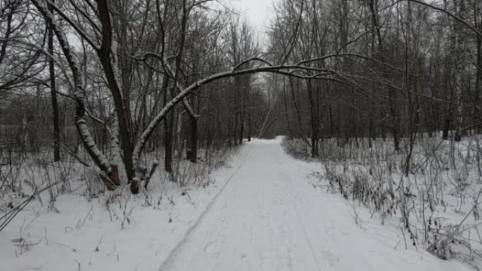 雪道在森林里通向远方。下雪了。高清