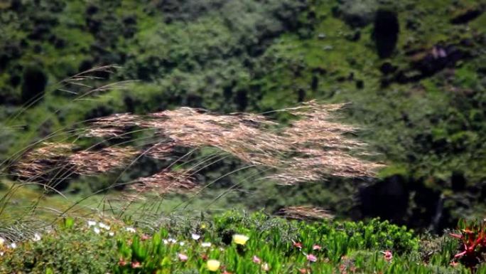 Cabo da Roca，辛特拉，葡萄牙