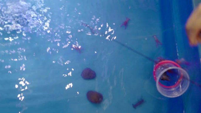 蓝色贝斯基特游戏钓鱼红樱桃虾