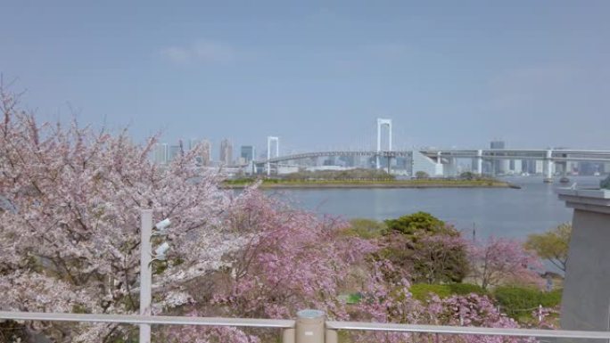 平移日本东京彩虹桥
